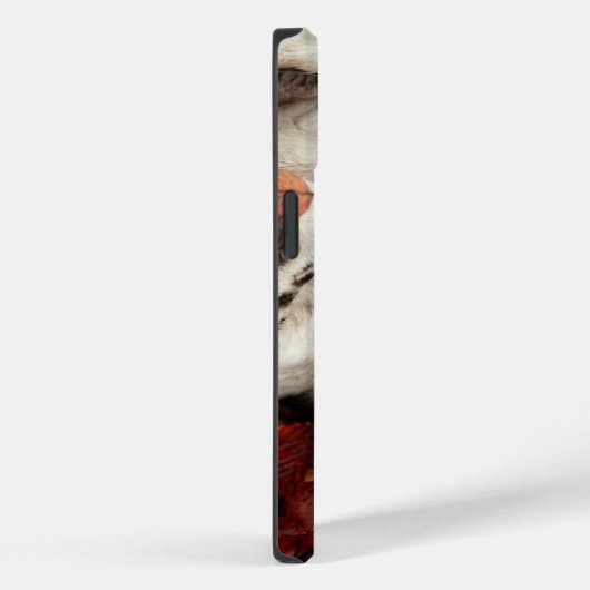 Kutest Baby Animals | Spaniel in najaarsbladeren Case-Mate iPhone Case (Achterkant / Rechts)
