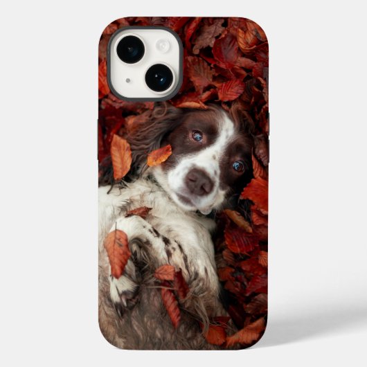 Kutest Baby Animals | Spaniel in najaarsbladeren Case-Mate iPhone Case (Achterkant)