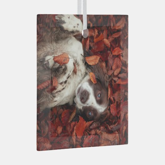Kutest Baby Animals | Spaniel in najaarsbladeren Glas Ornament (Voorkant Rechts)