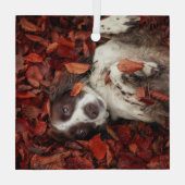 Kutest Baby Animals | Spaniel in najaarsbladeren Glas Ornament (Achterkant)