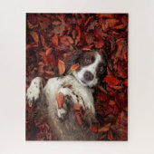 Kutest Baby Animals | Spaniel in najaarsbladeren Legpuzzel (Verticaal)