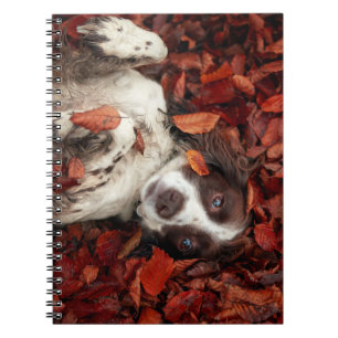 Kutest Baby Animals Spaniel in najaarsbladeren Notitieboek