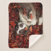 Kutest Baby Animals | Spaniel in najaarsbladeren Sherpa Deken (Voorkant)