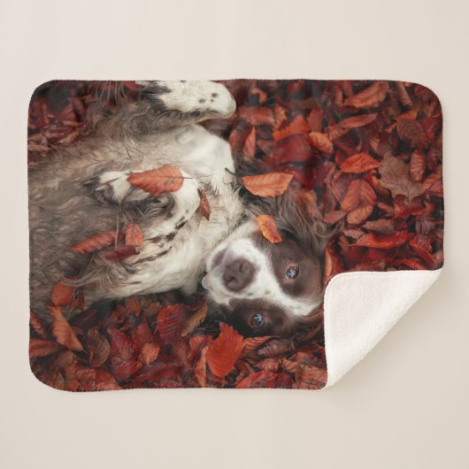 Kutest Baby Animals | Spaniel in najaarsbladeren Sherpa Deken (Voorkant (horizontaal))