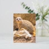 Kutest Baby Animals | Speelgoed Meerkats Briefkaart (Staand voorkant)