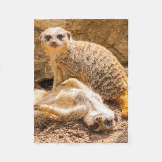 Kutest Baby Animals | Speelgoed Meerkats Fleece Deken (Voorkant)