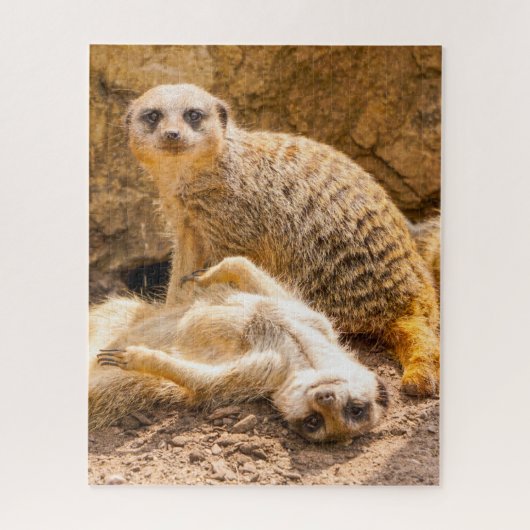 Kutest Baby Animals | Speelgoed Meerkats Legpuzzel (Verticaal)