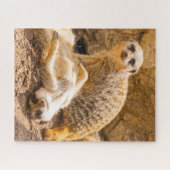 Kutest Baby Animals | Speelgoed Meerkats Legpuzzel (Horizontaal)