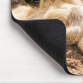 Kutest Baby Animals | Speelgoed Meerkats Muismat (Hoek)