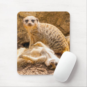 Kutest Baby Animals   Speelgoed Meerkats Muismat