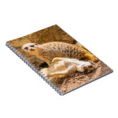 Kutest Baby Animals | Speelgoed Meerkats Notitieboek (Rechterzijde)