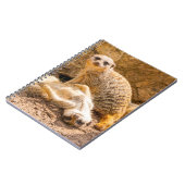 Kutest Baby Animals | Speelgoed Meerkats Notitieboek (Linkerzijde)