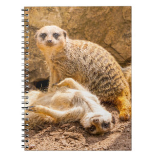 Kutest Baby Animals   Speelgoed Meerkats Notitieboek