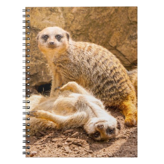 Kutest Baby Animals | Speelgoed Meerkats Notitieboek (Voorkant)