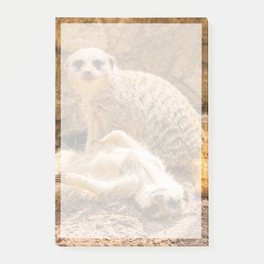 Kutest Baby Animals | Speelgoed Meerkats Post-it® Notes (Voorkant)