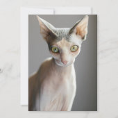 Kutest Baby Animals | Sphinx Cat Bedankkaart (Voorkant)