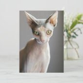Kutest Baby Animals | Sphinx Cat Bedankkaart (Staand voorkant)