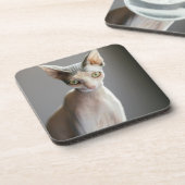 Kutest Baby Animals | Sphinx Cat Bier Onderzetter (Linkerzijde)