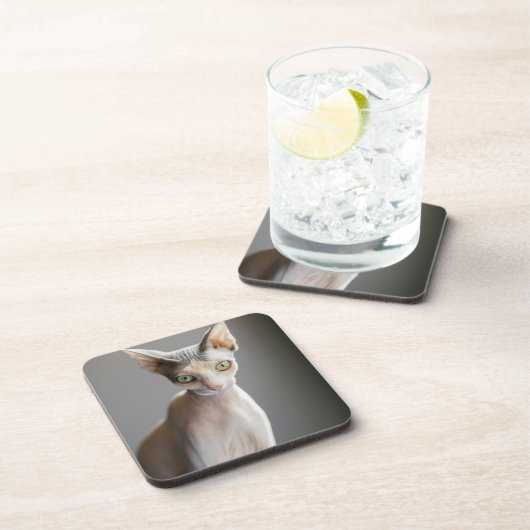 Kutest Baby Animals | Sphinx Cat Bier Onderzetter (Rechterzijde)