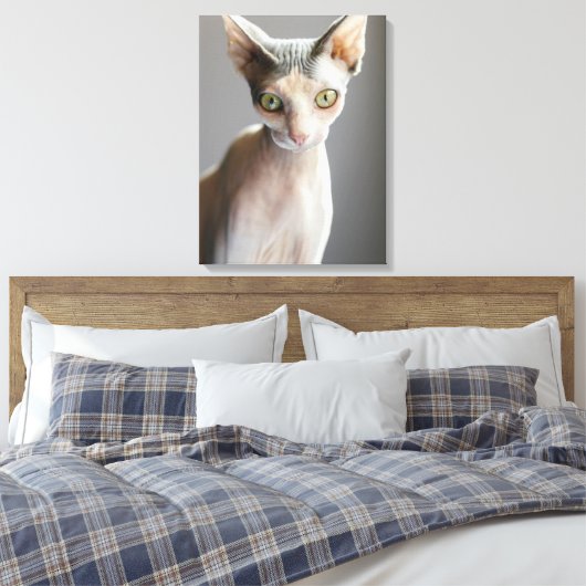 Kutest Baby Animals | Sphinx Cat Canvas Afdruk (Insitu (Slaapkamer))