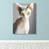 Kutest Baby Animals | Sphinx Cat Canvas Afdruk (Insitu (Houten vloer))