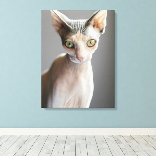 Kutest Baby Animals | Sphinx Cat Canvas Afdruk (Insitu (Houten vloer))