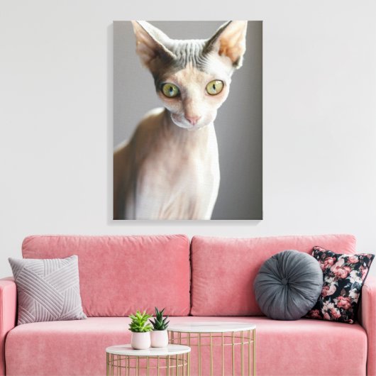 Kutest Baby Animals | Sphinx Cat Canvas Afdruk (Insitu (Woonkamer))