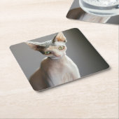 Kutest Baby Animals | Sphinx Cat Kartonnen Onderzetters (Schuin)