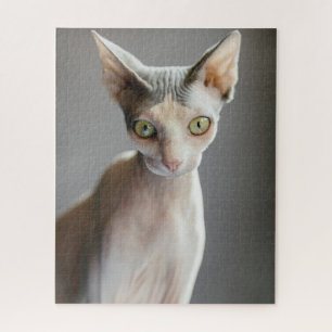Kutest Baby Animals Sphinx Cat Legpuzzel