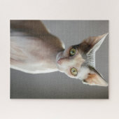 Kutest Baby Animals | Sphinx Cat Legpuzzel (Horizontaal)