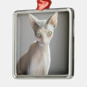 Kutest Baby Animals | Sphinx Cat Metalen Ornament (Links)