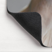 Kutest Baby Animals | Sphinx Cat Muismat (Hoek)