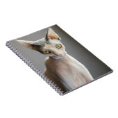 Kutest Baby Animals | Sphinx Cat Notitieboek (Rechterzijde)