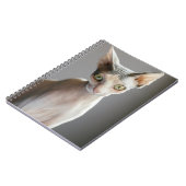 Kutest Baby Animals | Sphinx Cat Notitieboek (Linkerzijde)