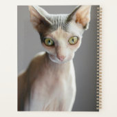Kutest Baby Animals | Sphinx Cat Planner (Achterkant)