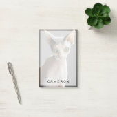 Kutest Baby Animals | Sphinx Cat Post-it® Notes (Kantoor)