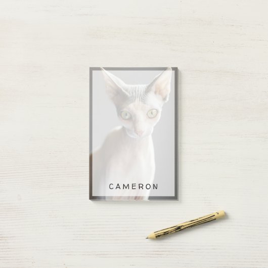 Kutest Baby Animals | Sphinx Cat Post-it® Notes (Op bureau)