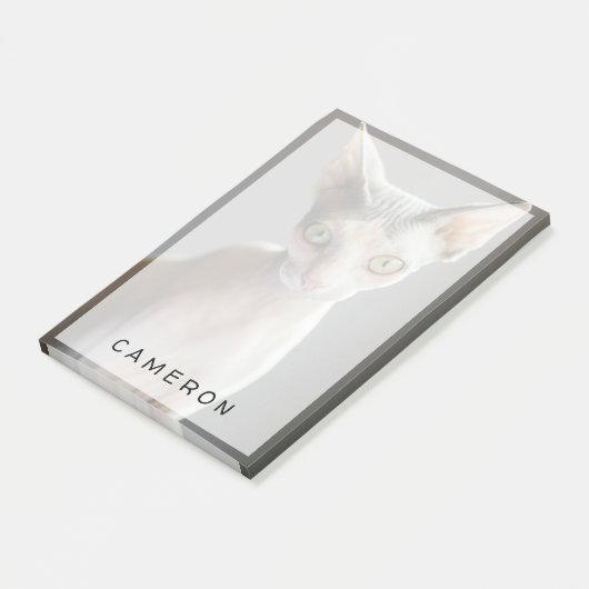 Kutest Baby Animals | Sphinx Cat Post-it® Notes (Schuin)