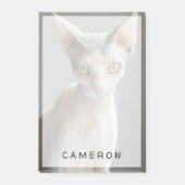 Kutest Baby Animals | Sphinx Cat Post-it® Notes (Voorkant)