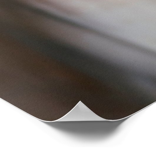 Kutest Baby Animals | Sphinx Cat Poster (Hoek)