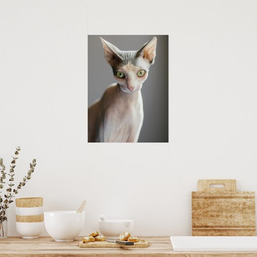 Kutest Baby Animals | Sphinx Cat Poster (Keuken)