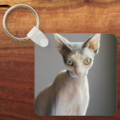 Kutest Baby Animals | Sphinx Cat Sleutelhanger (Voorkant)