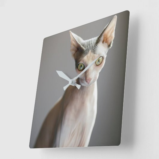 Kutest Baby Animals | Sphinx Cat Vierkante Klok (Hoek)
