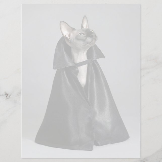 Kutest Baby Animals | Sphynx Hairless Cat (Voorkant)