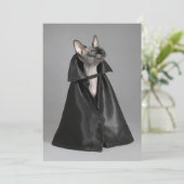 Kutest Baby Animals | Sphynx Hairless Cat Bedankkaart (Staand voorkant)