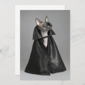 Kutest Baby Animals | Sphynx Hairless Cat Bedankkaart (Voorkant / Achterkant)