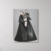 Kutest Baby Animals | Sphynx Hairless Cat Canvas Afdruk (Voorkant)
