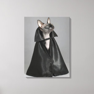 Kutest Baby Animals   Sphynx Hairless Cat Canvas Afdruk