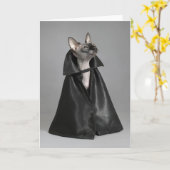 Kutest Baby Animals | Sphynx Hairless Cat Kaart (Gele Bloem)