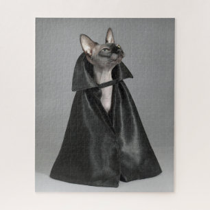 Kutest Baby Animals   Sphynx Hairless Cat Legpuzzel